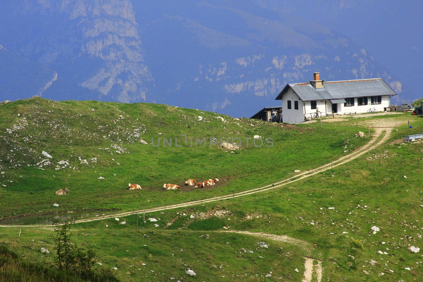 Mountain farm