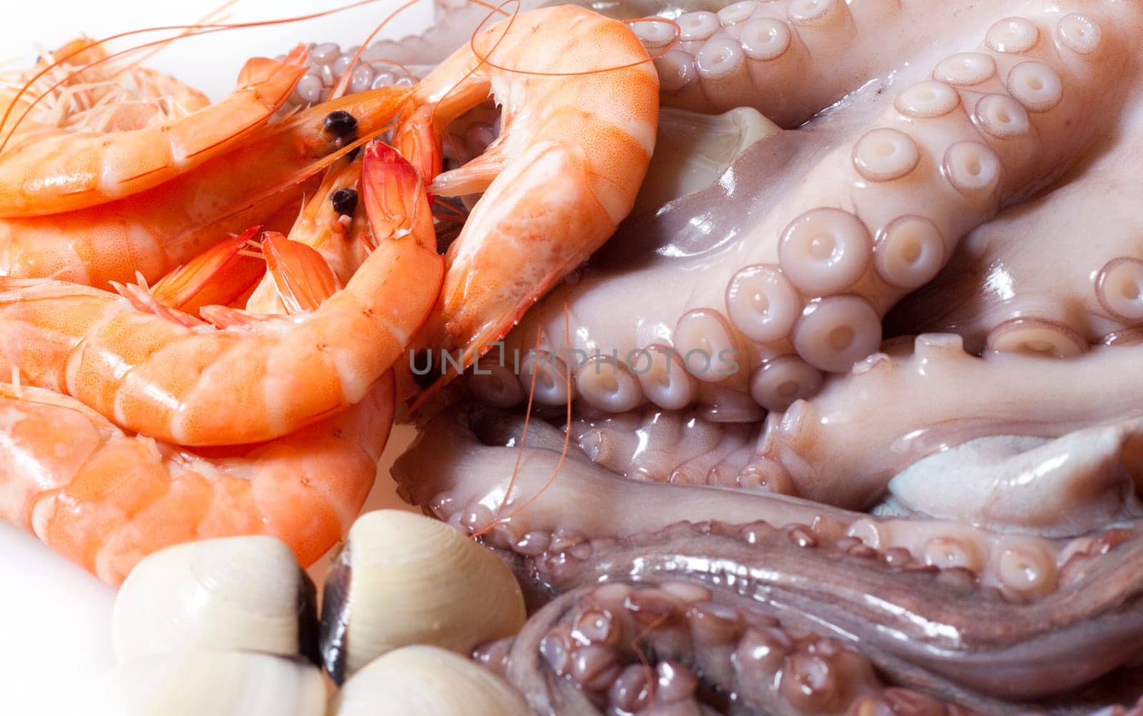 Shrimp, octopus and shellfish prepared for cooking