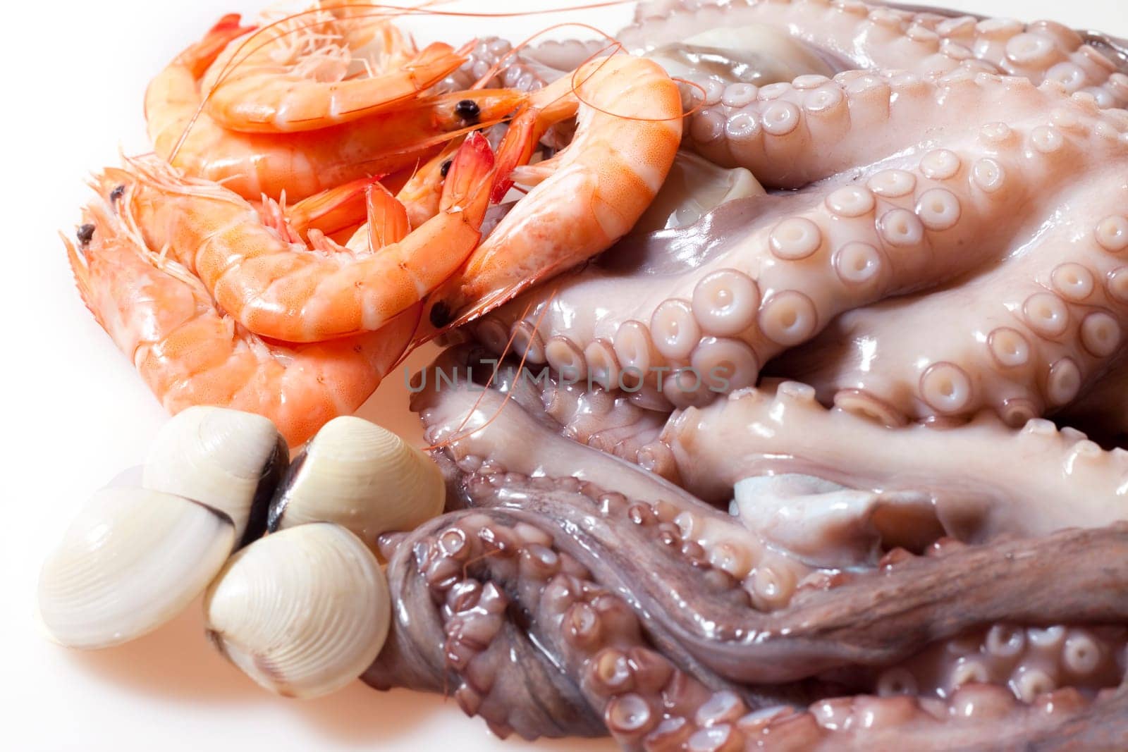 Shrimp, octopus and shellfish prepared for cooking