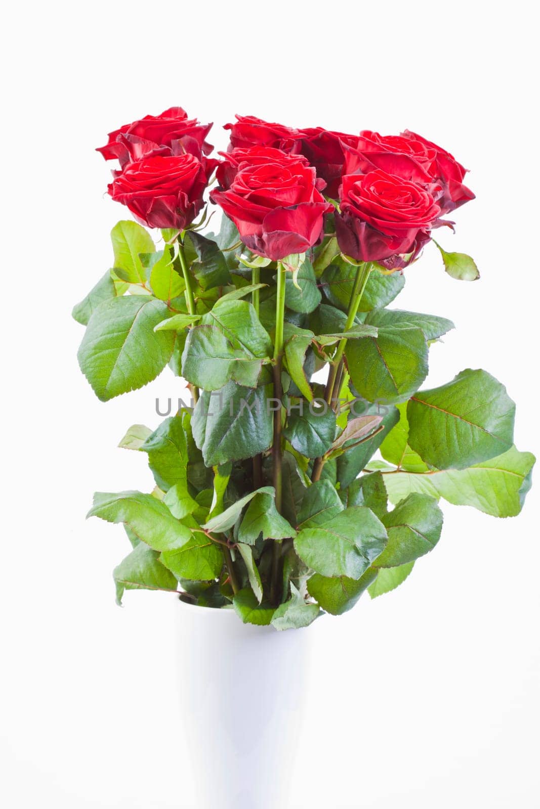 red roses