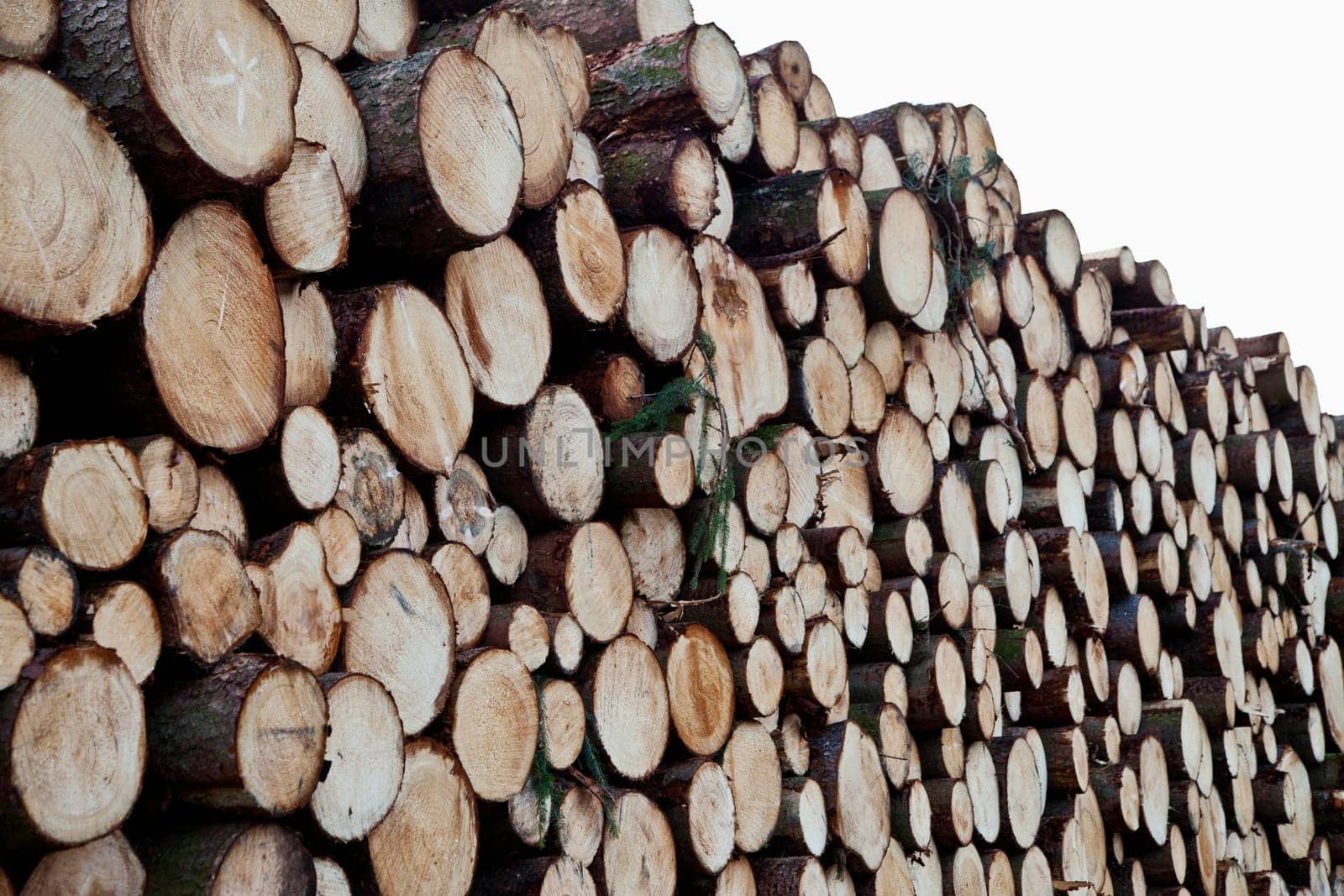 Logs