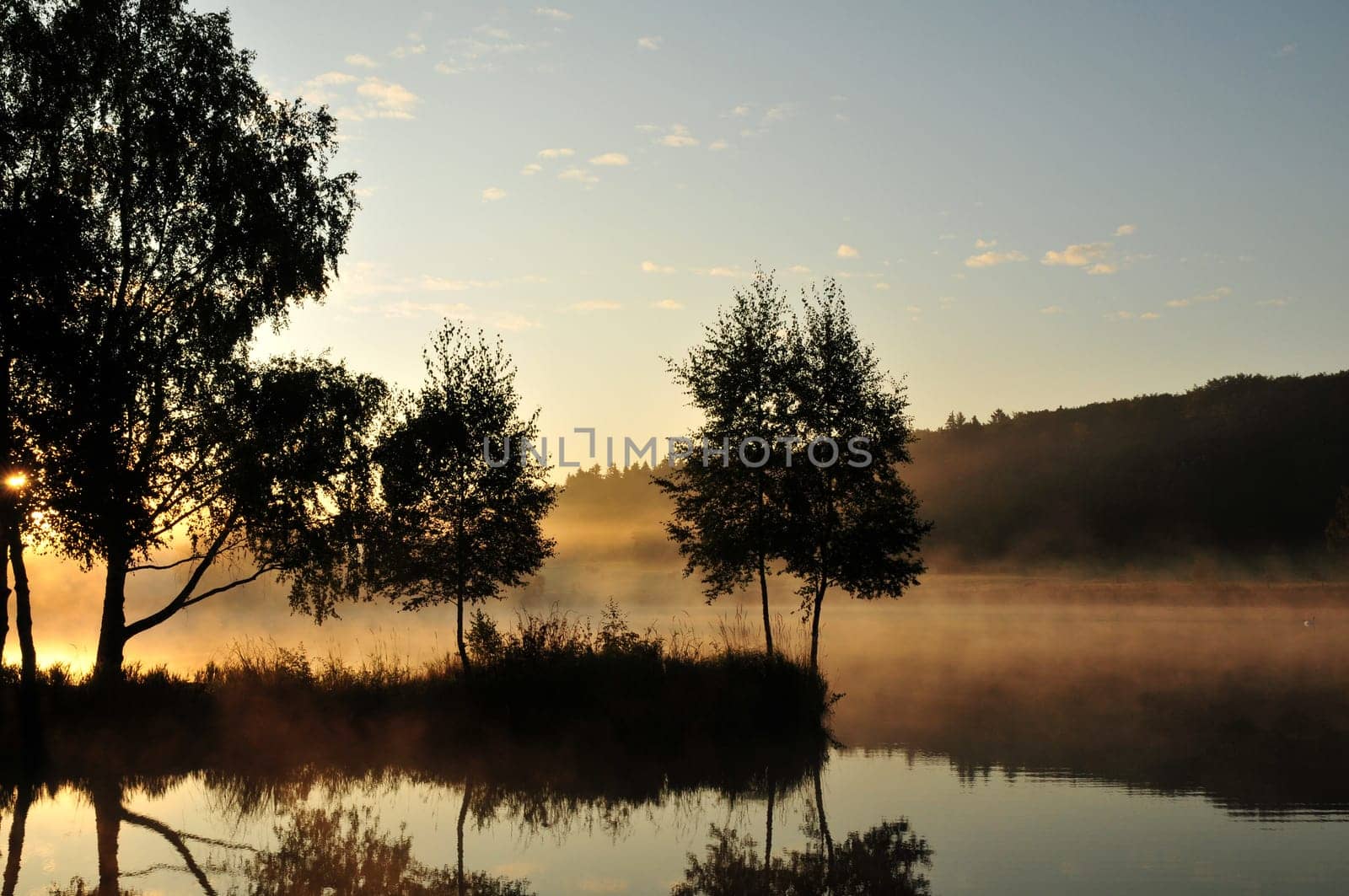 Morning mood at a lake in the Harz Mountains