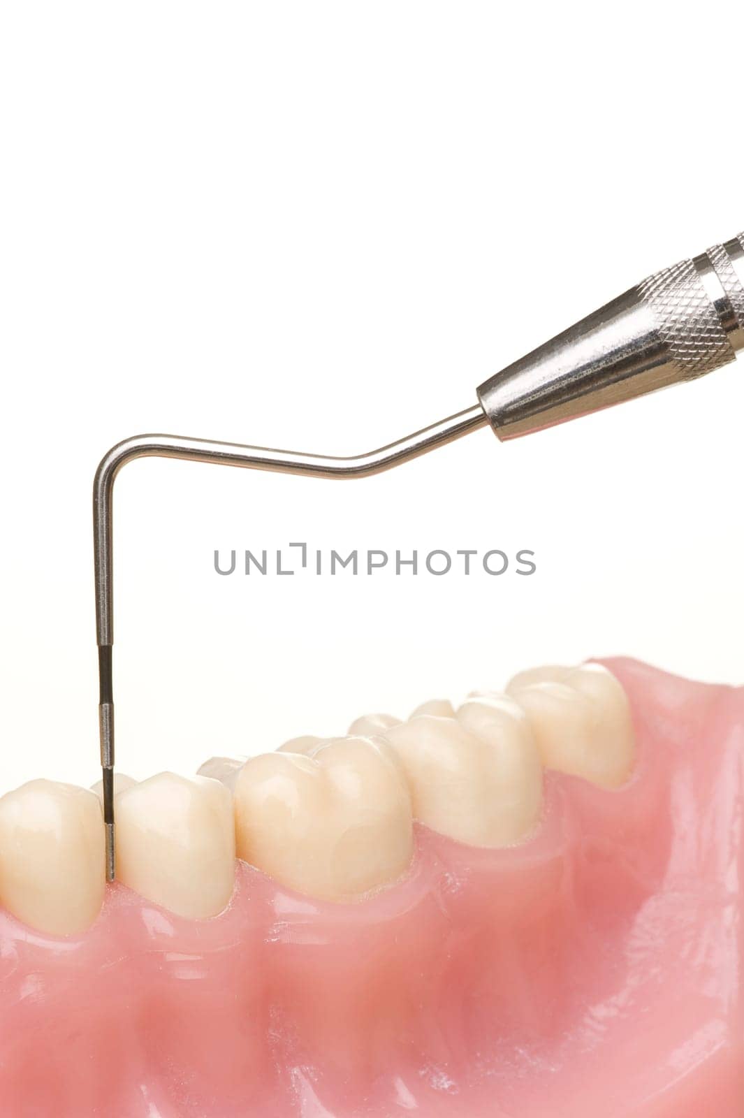 Teeth