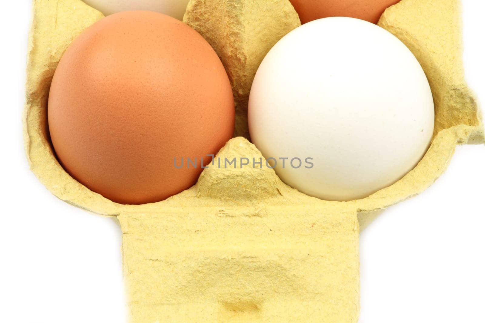 Two chicken eggs in a carton - macro shot