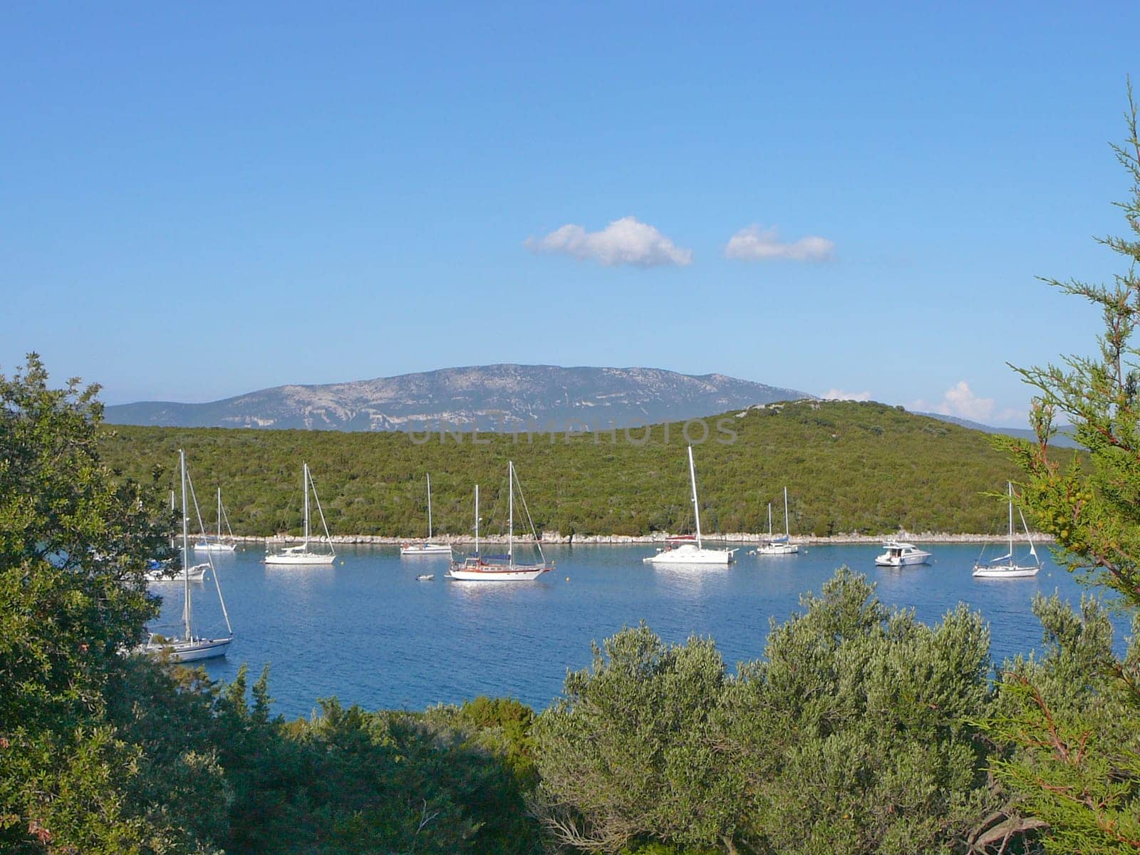 Unije island in Croatia part of the Cres Losinj archipelago in the Adriatic Sea
