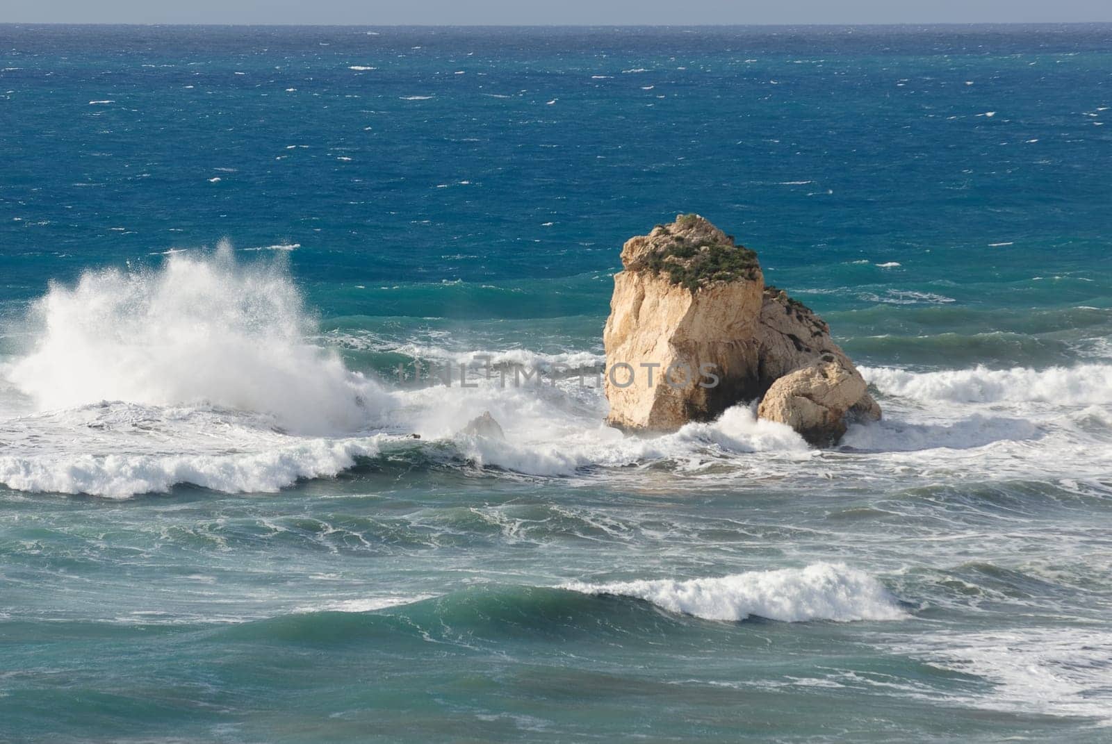 surf