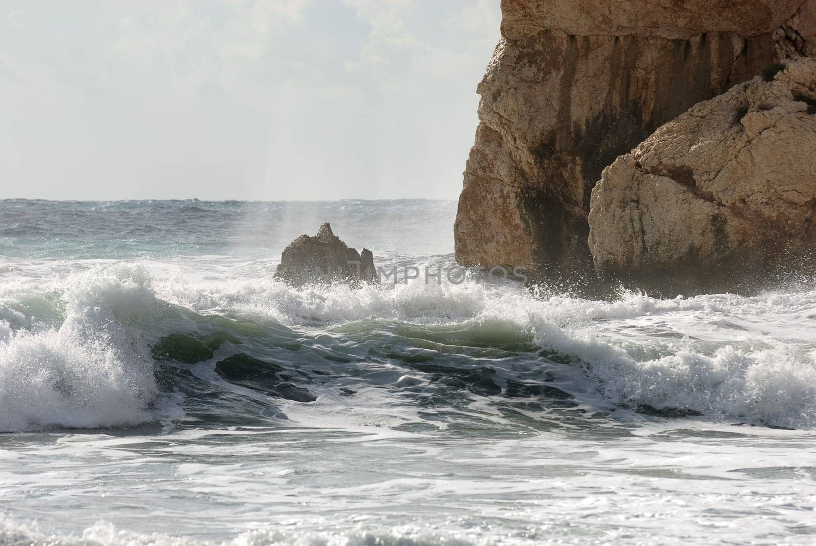 surf