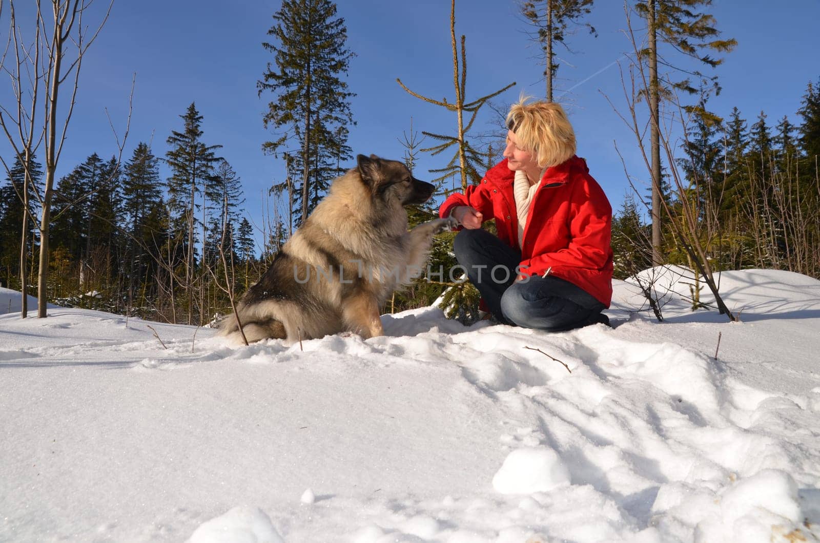 Woman playing with dog in the snow in winter sunshine