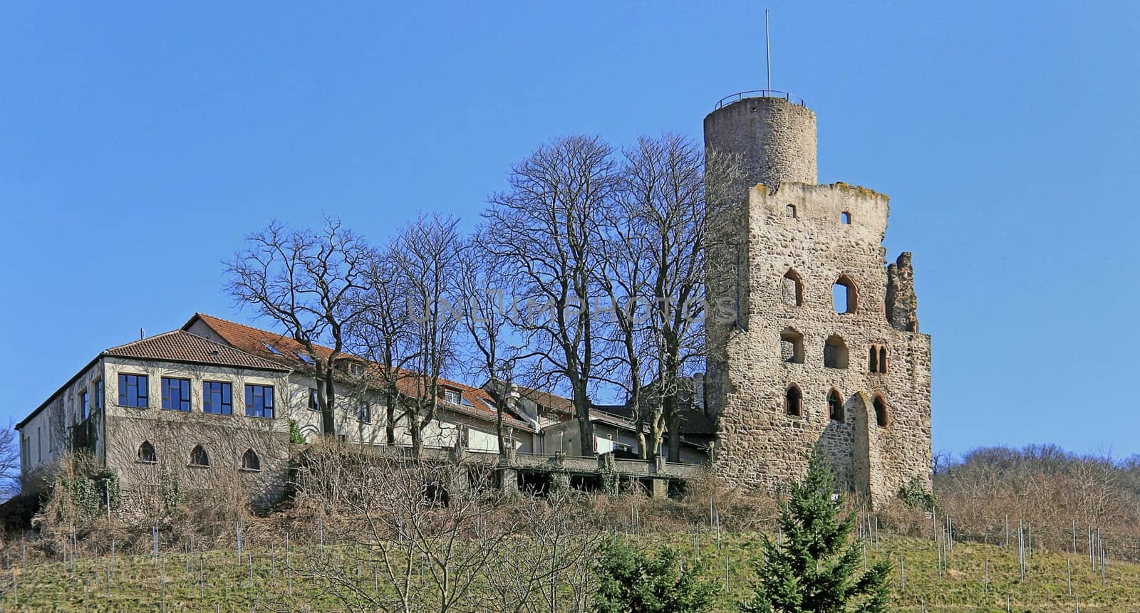 The Strahlenburg above Schriesheim