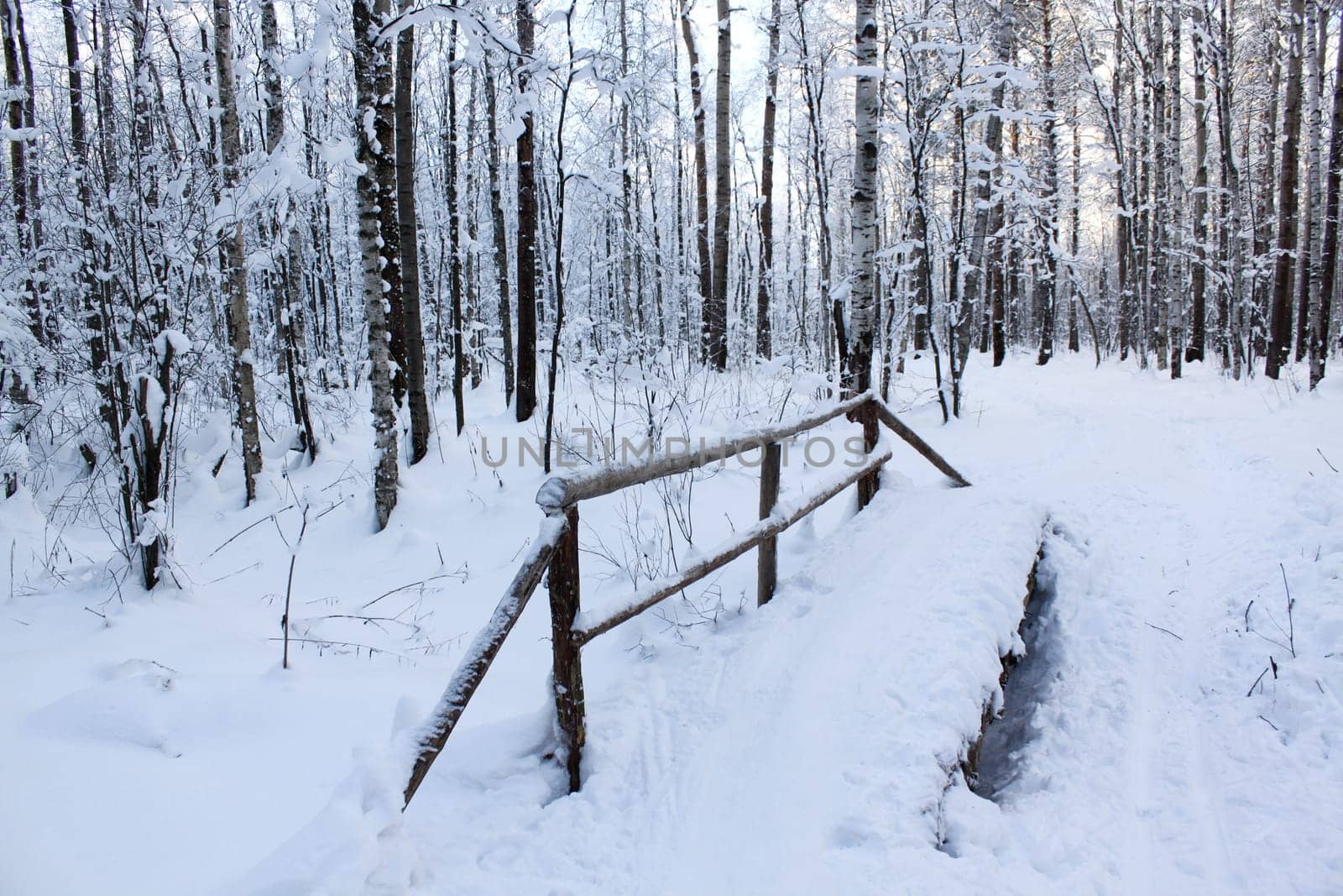 The snow-covered bridge through a stream in winter wood