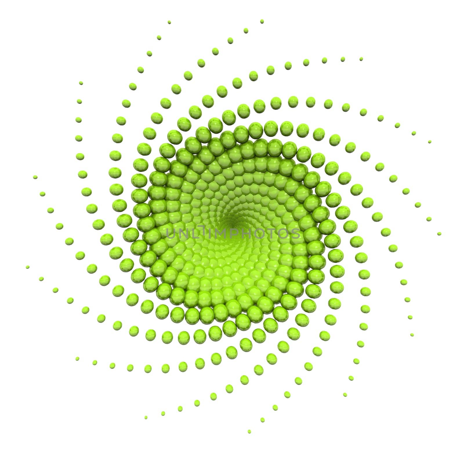 The vertebra green