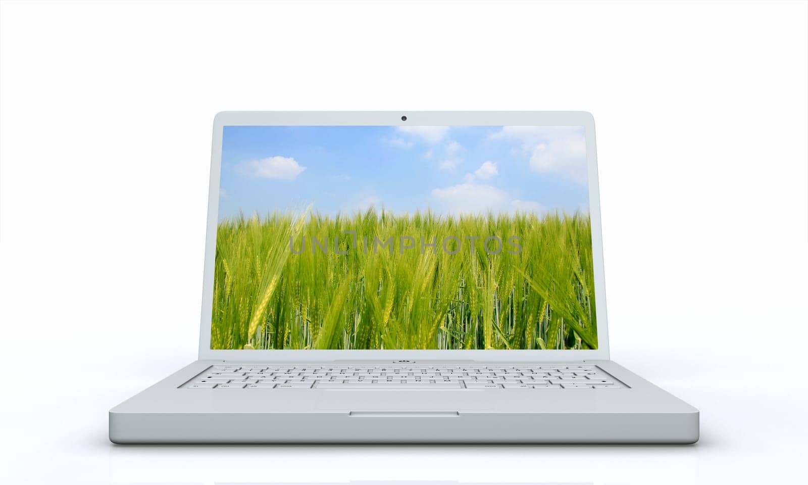 Laptop Nature Concept