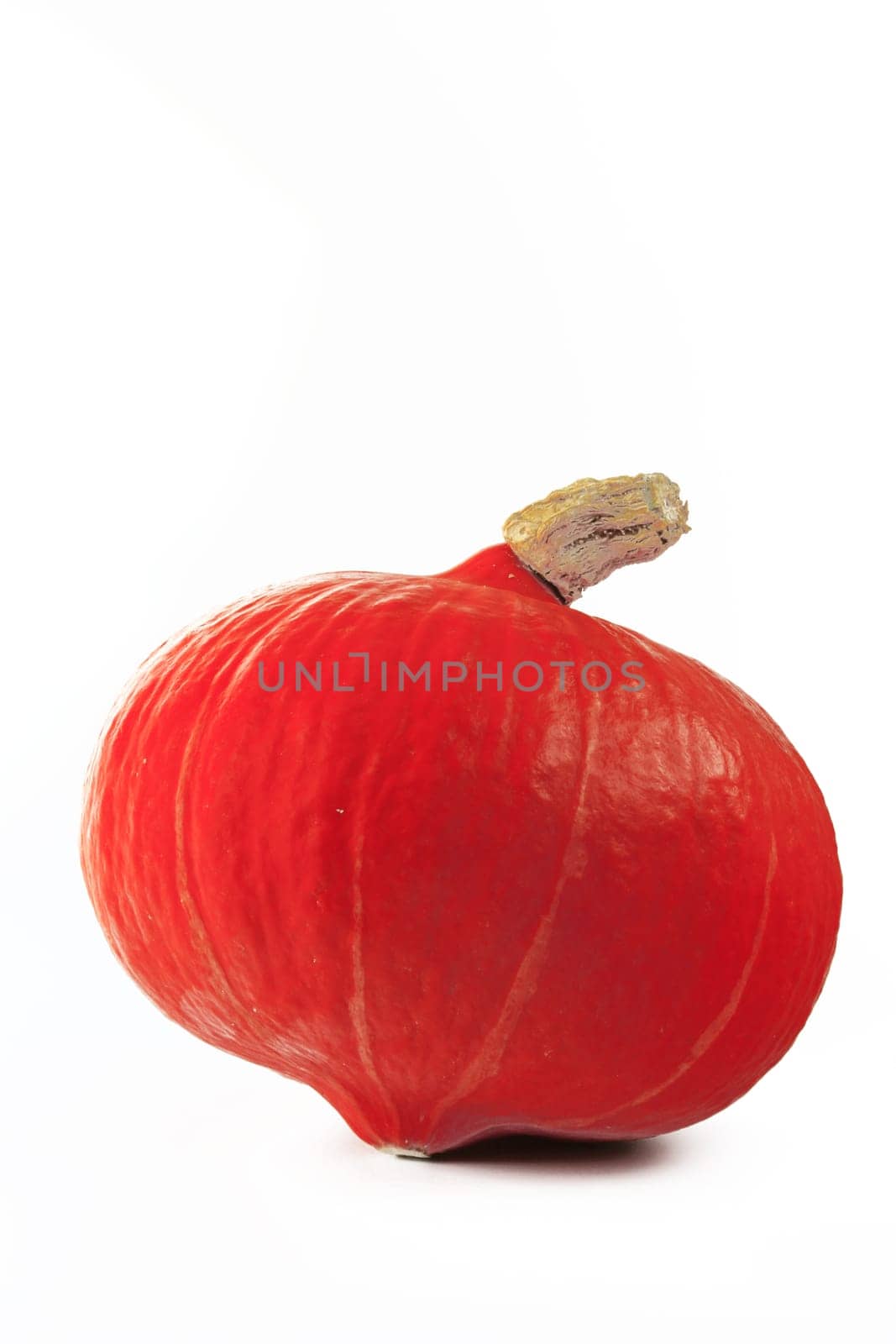 Hokkaido pumpkin
