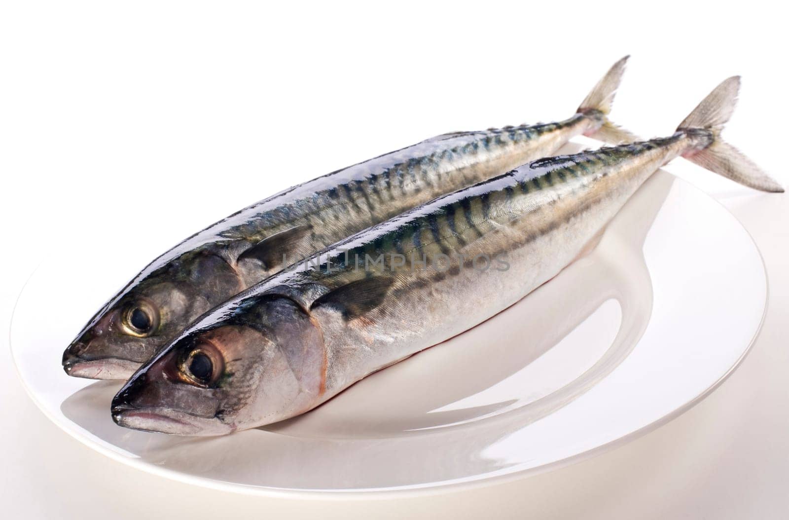 Fresh raw mackerel on white plate close up
