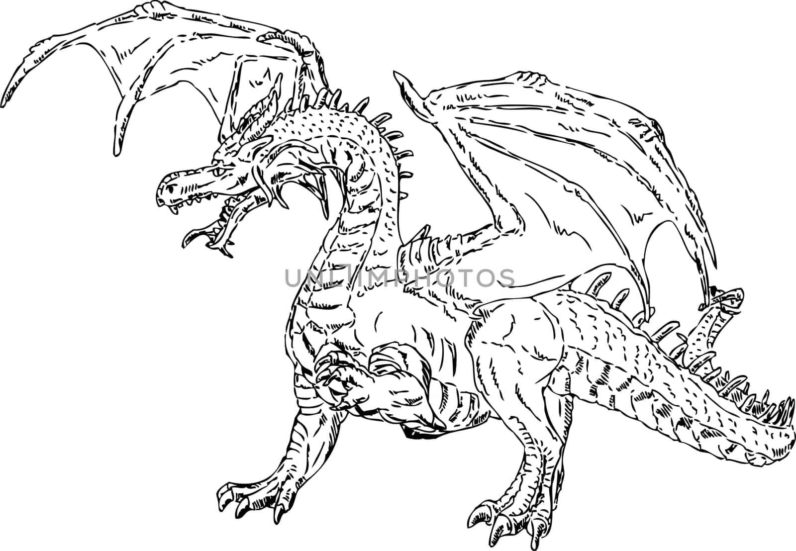 vector - Fly dragon isolated on background