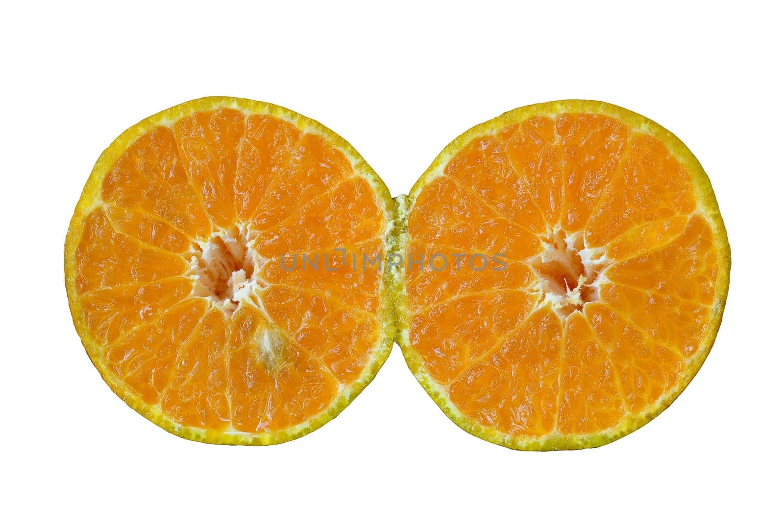 isolated orange on white background