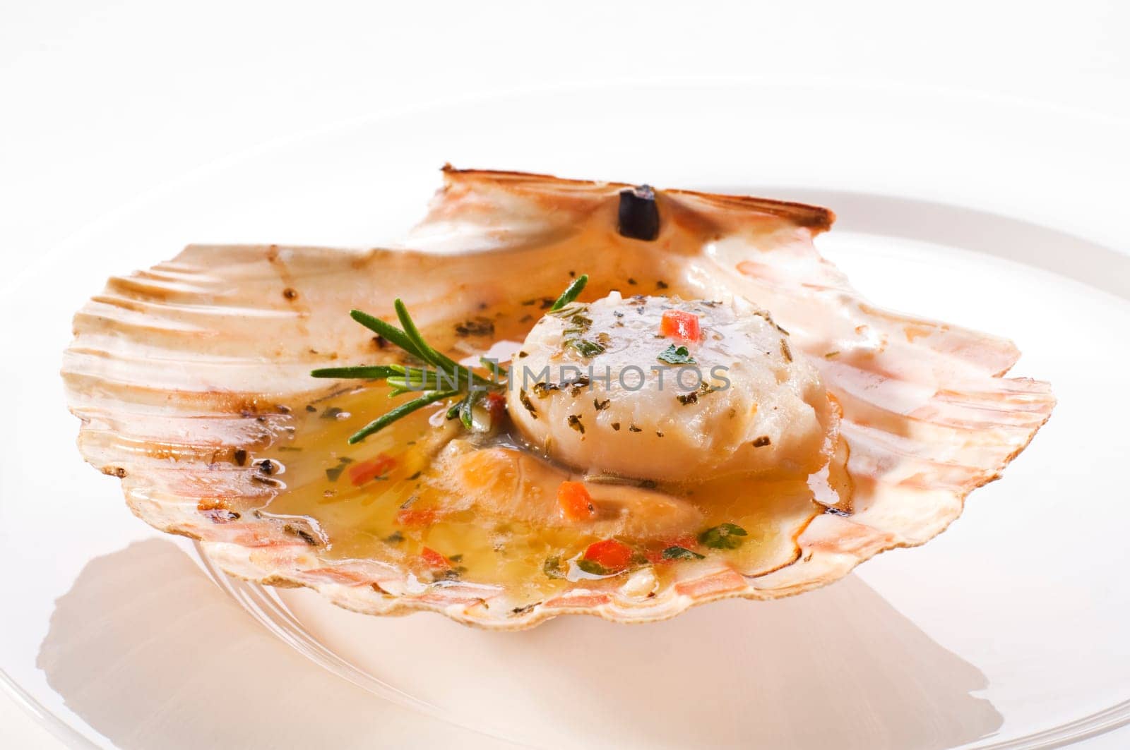 Fresh grilled scallop on white plate close up