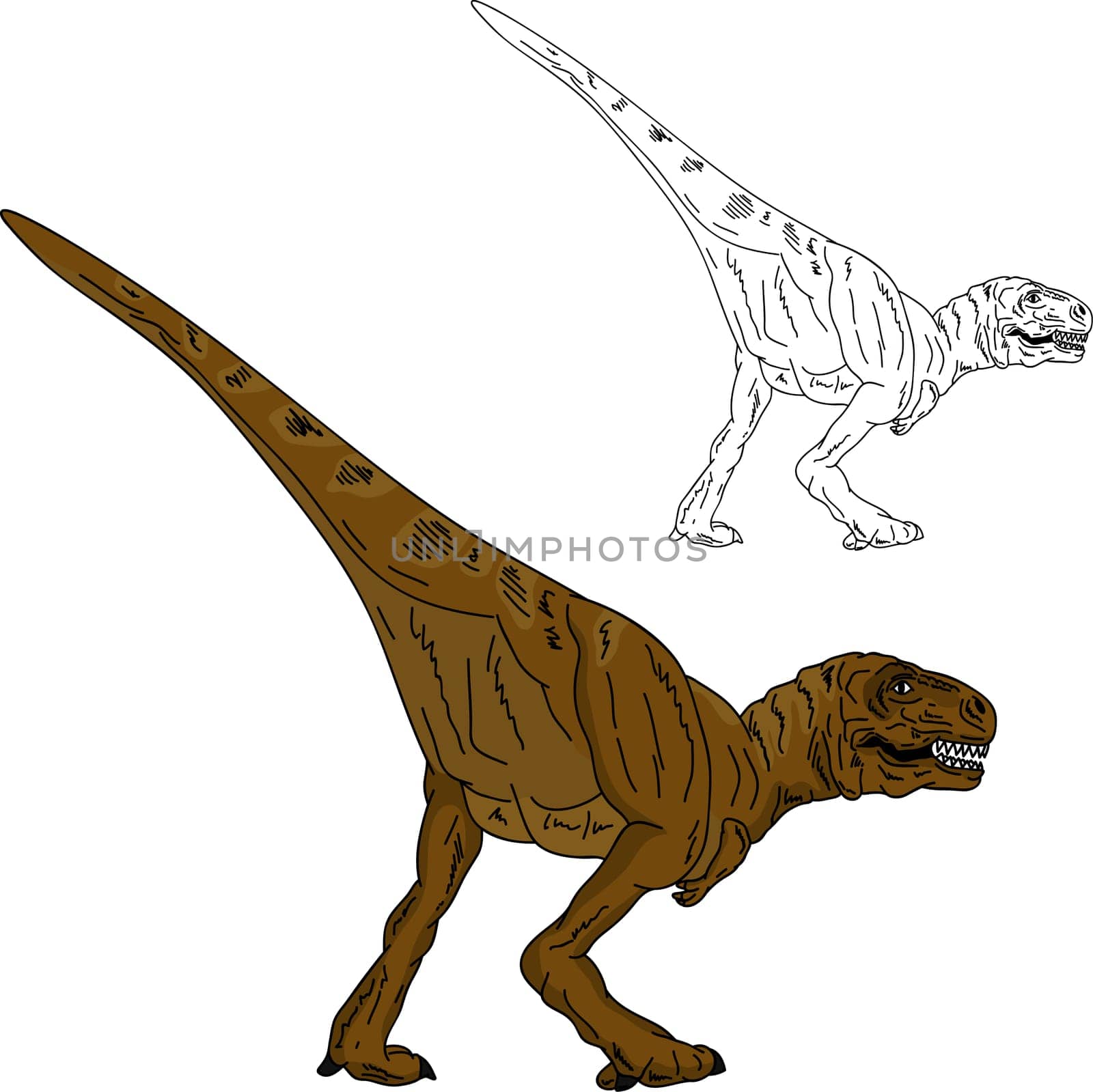 vector - dinosaur walking , isolated on background