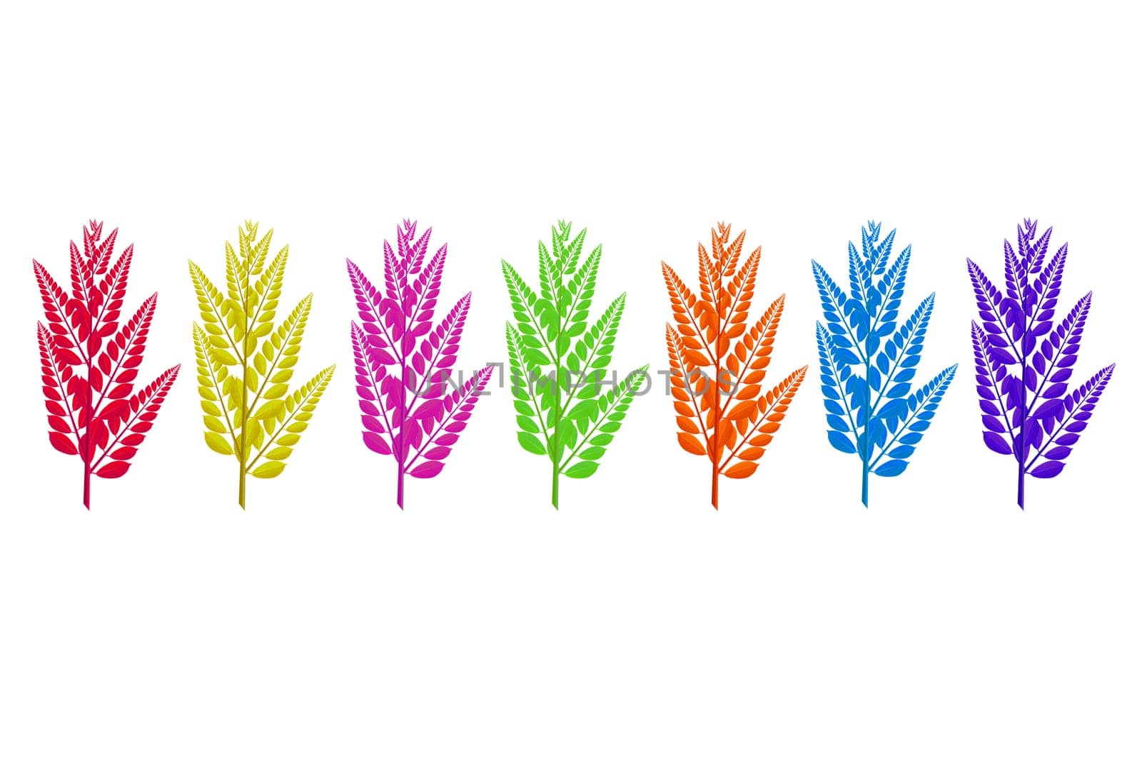 isolated seven days color leaves on white background