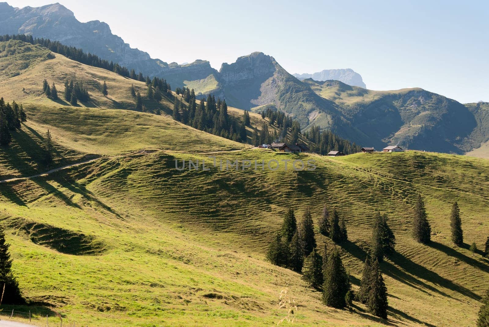 pastures in the mountains of Switzerland