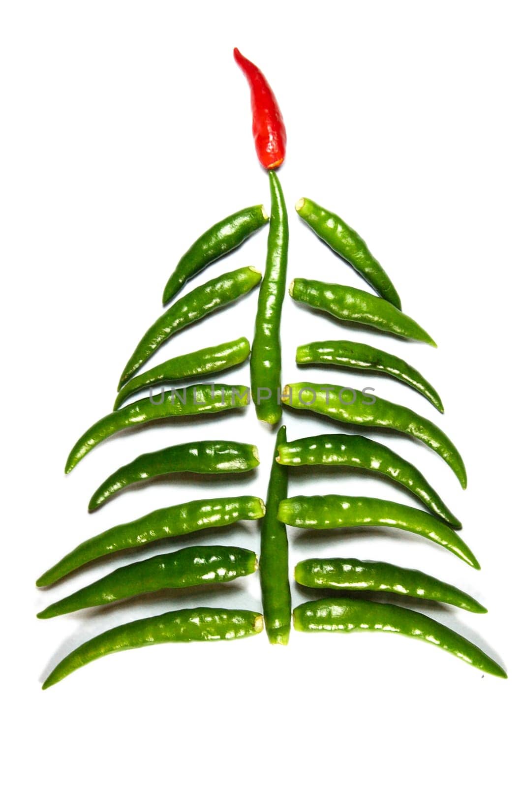 Spicy chili New Year Tree isolated on white
