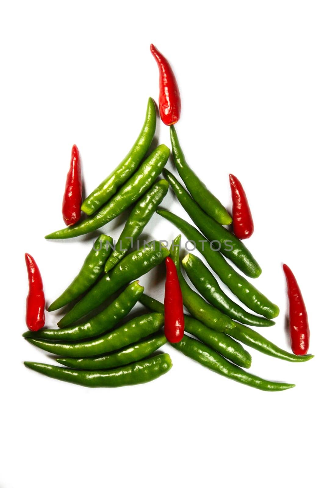 Spicy chili New Year Tree isolated on white