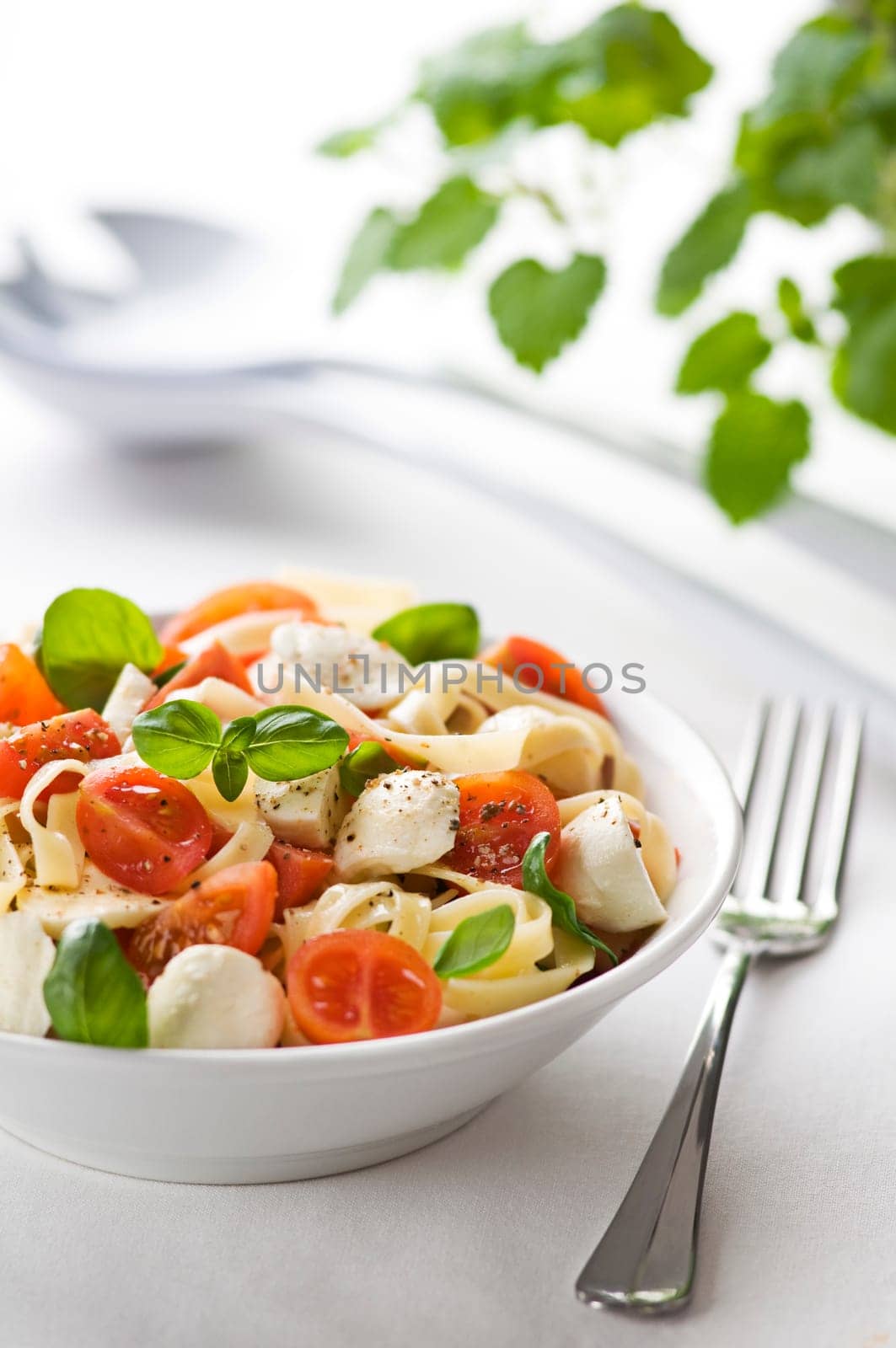 Sliced tomato and mozzarella with pasta close up