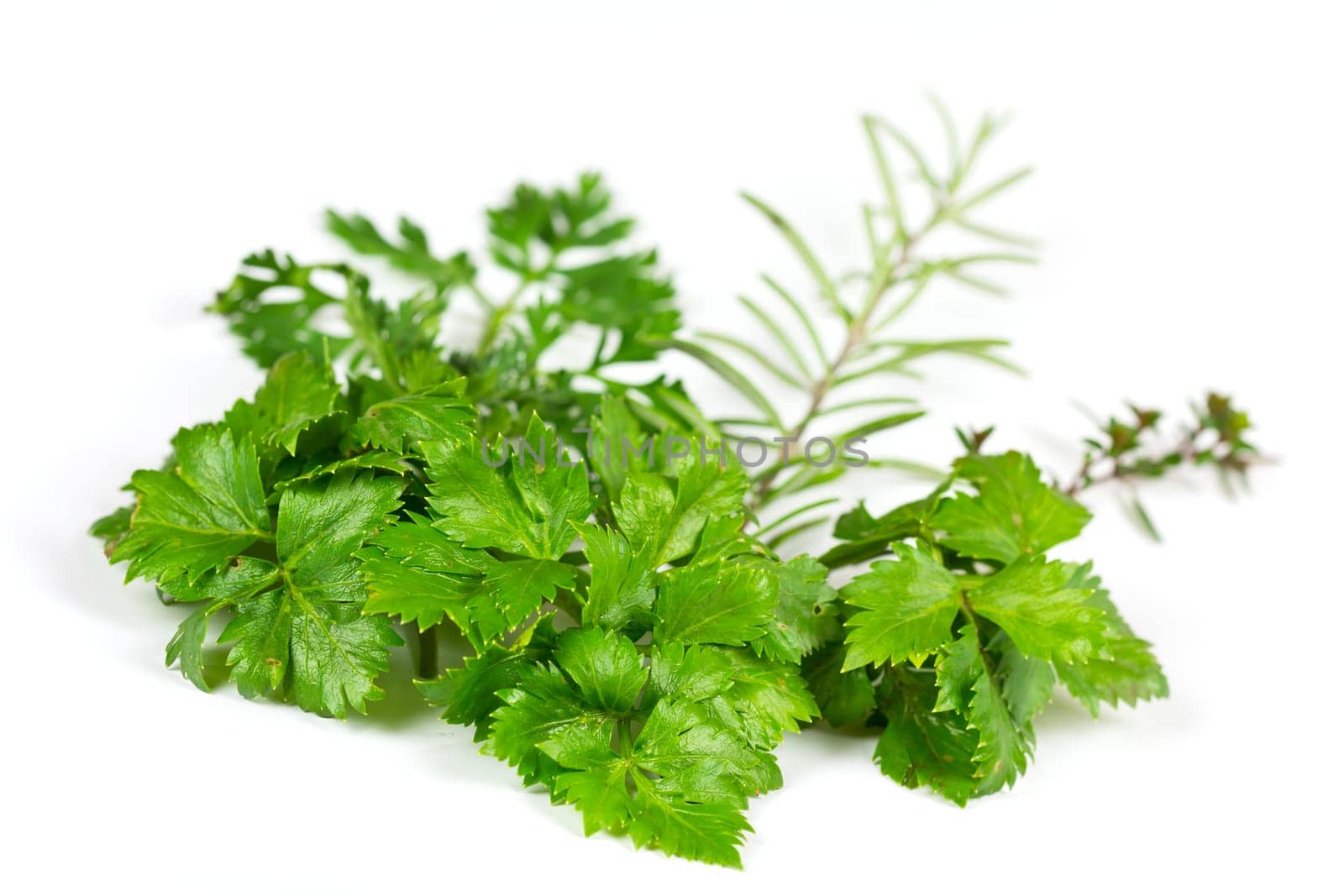 Celery,thyme and rosemary,optional