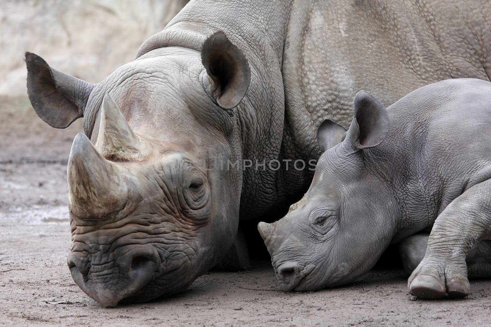Big and small