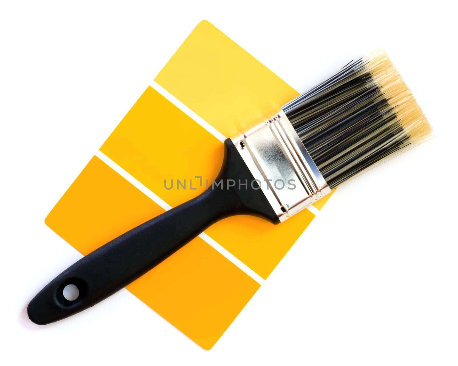 paint swatches