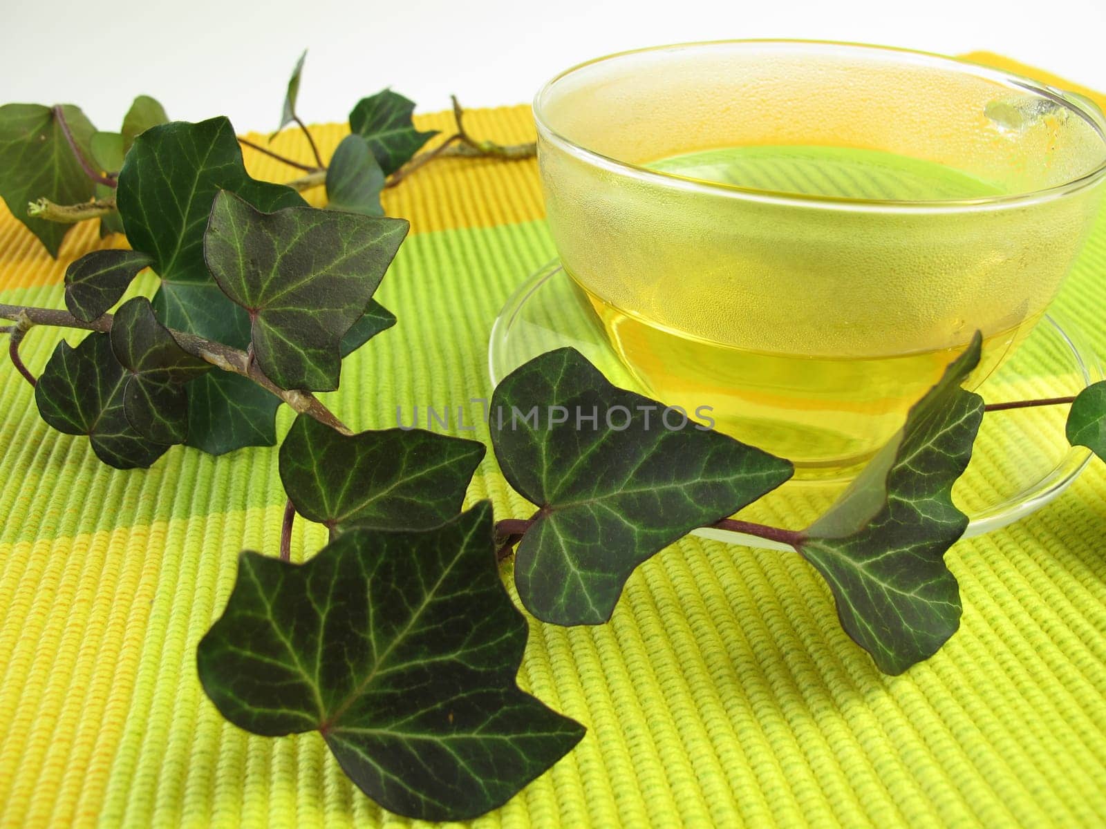 Medicinal herbal tea with ivy
