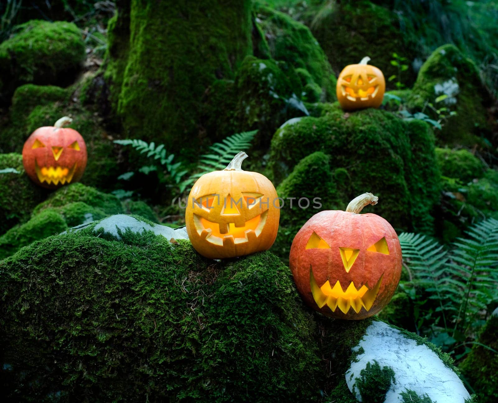 Halloween pumpkins in dark forest close up