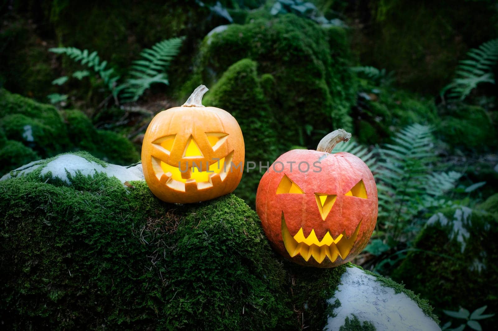 Halloween pumpkins in dark forest close up