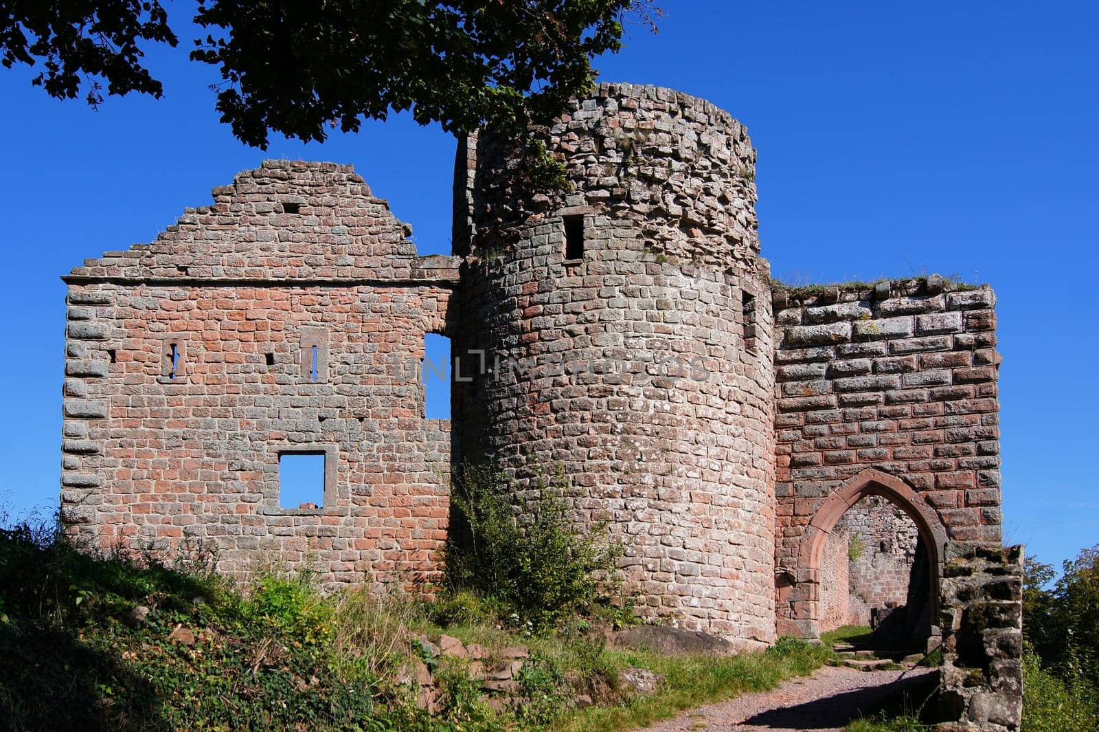 Neuscharfeneck Castle Ruins in the Palatinate