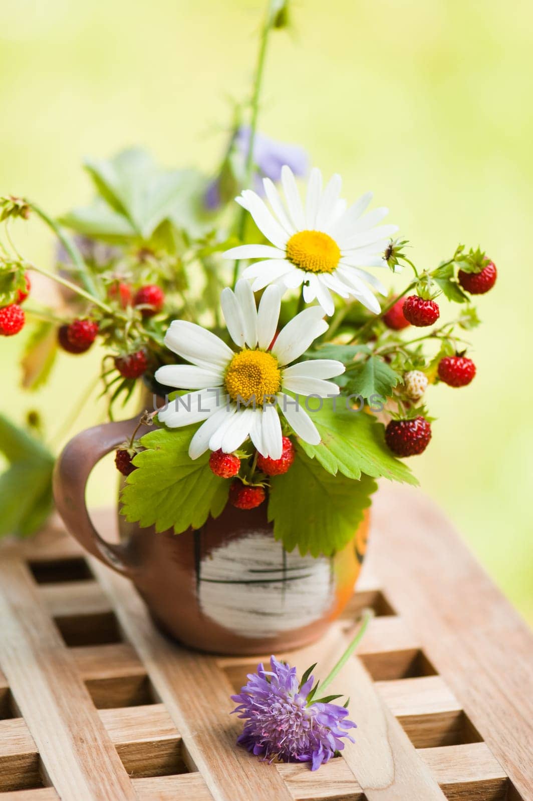 Bouquet from a camomile and wild strawberry