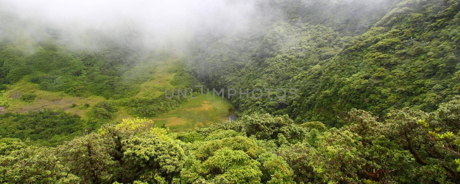 Fog descends into The Crater below Mount Liamuiga on Saint Kitts.