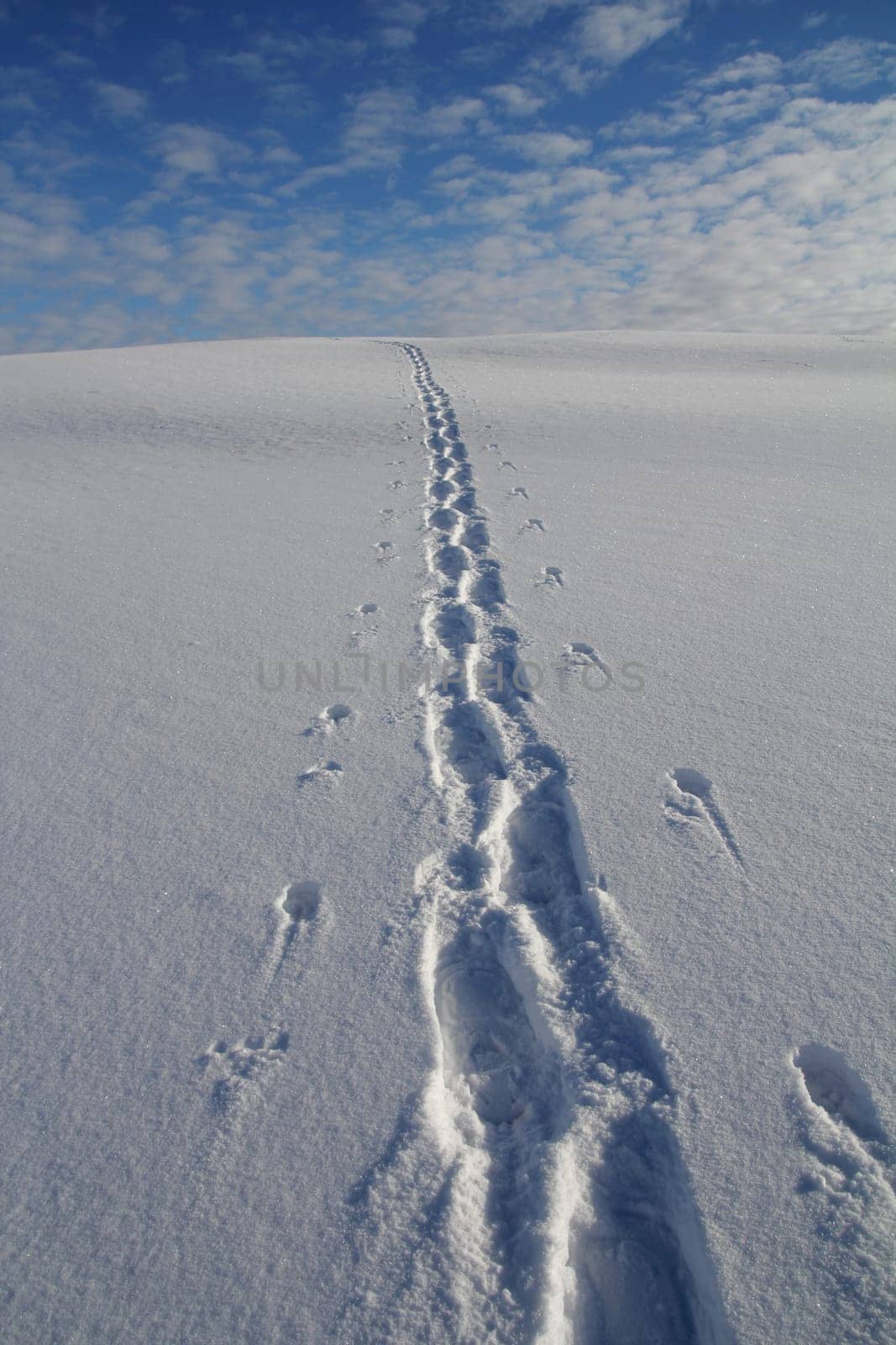 The traces lead to heaven