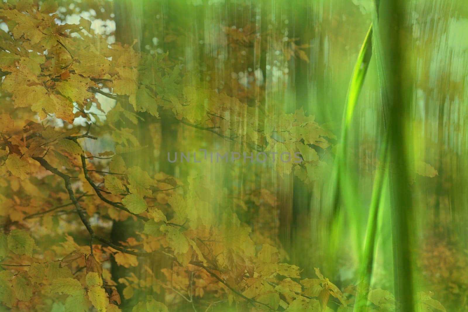 DigiArt - The Gentle Autumn