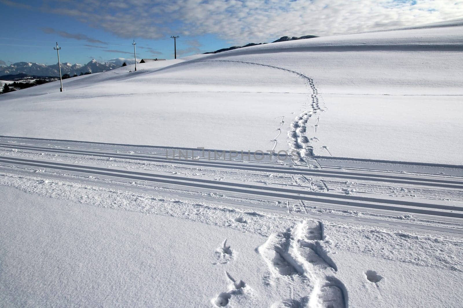 Cross-country skiing or snowshoeing