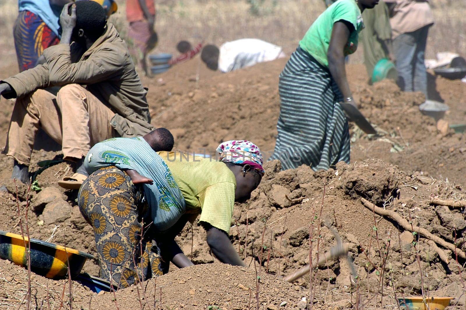 To the goldmine of Poura the gold diggers come from everywhere in the hope of finding a little gold after the season of the cultures. Women, children and men of very old are here in a universe of dust under a blazing sun. In Burkina Faso Faso the research