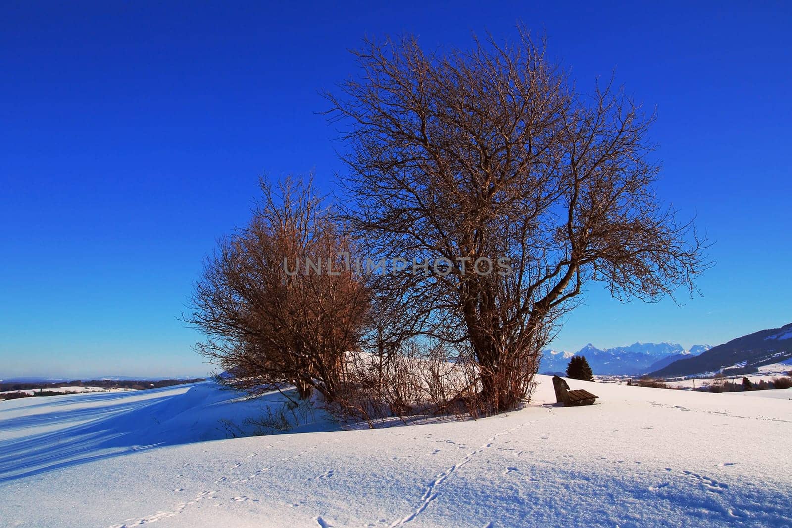 A bench with a magnificent view