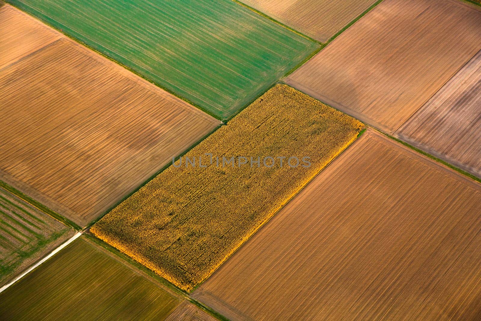 rural landscape with acre from hot air balloon in Frankfurt