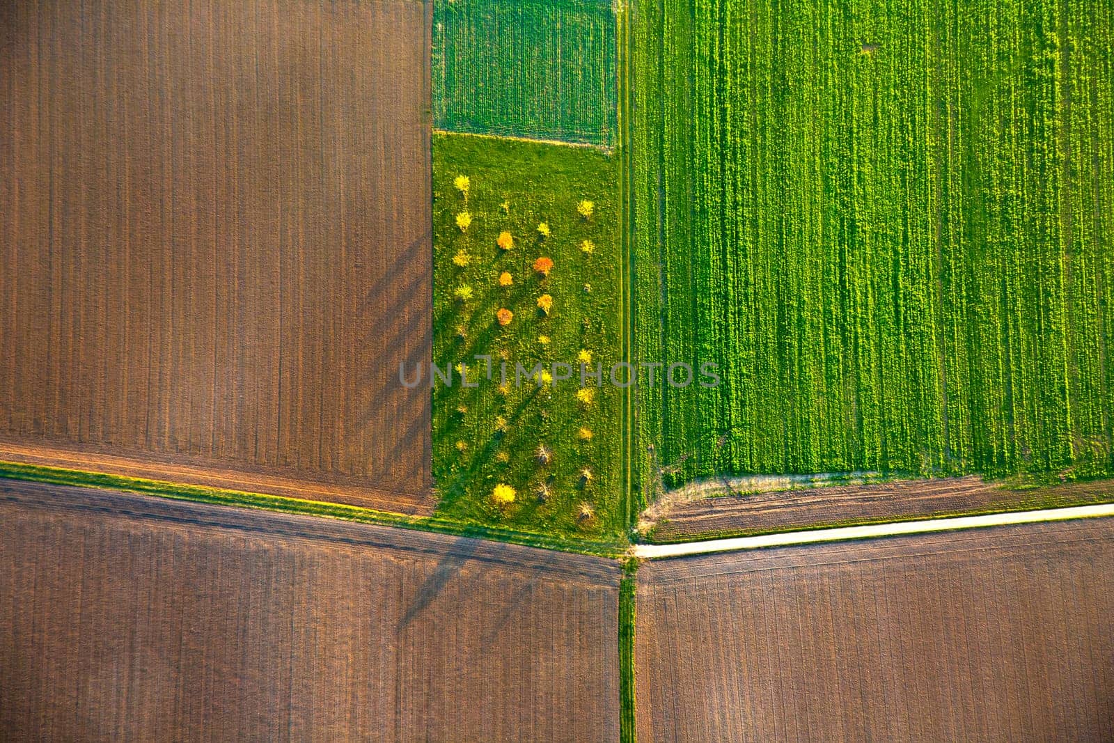 rural landscape with acre from hot air balloon in Frankfurt