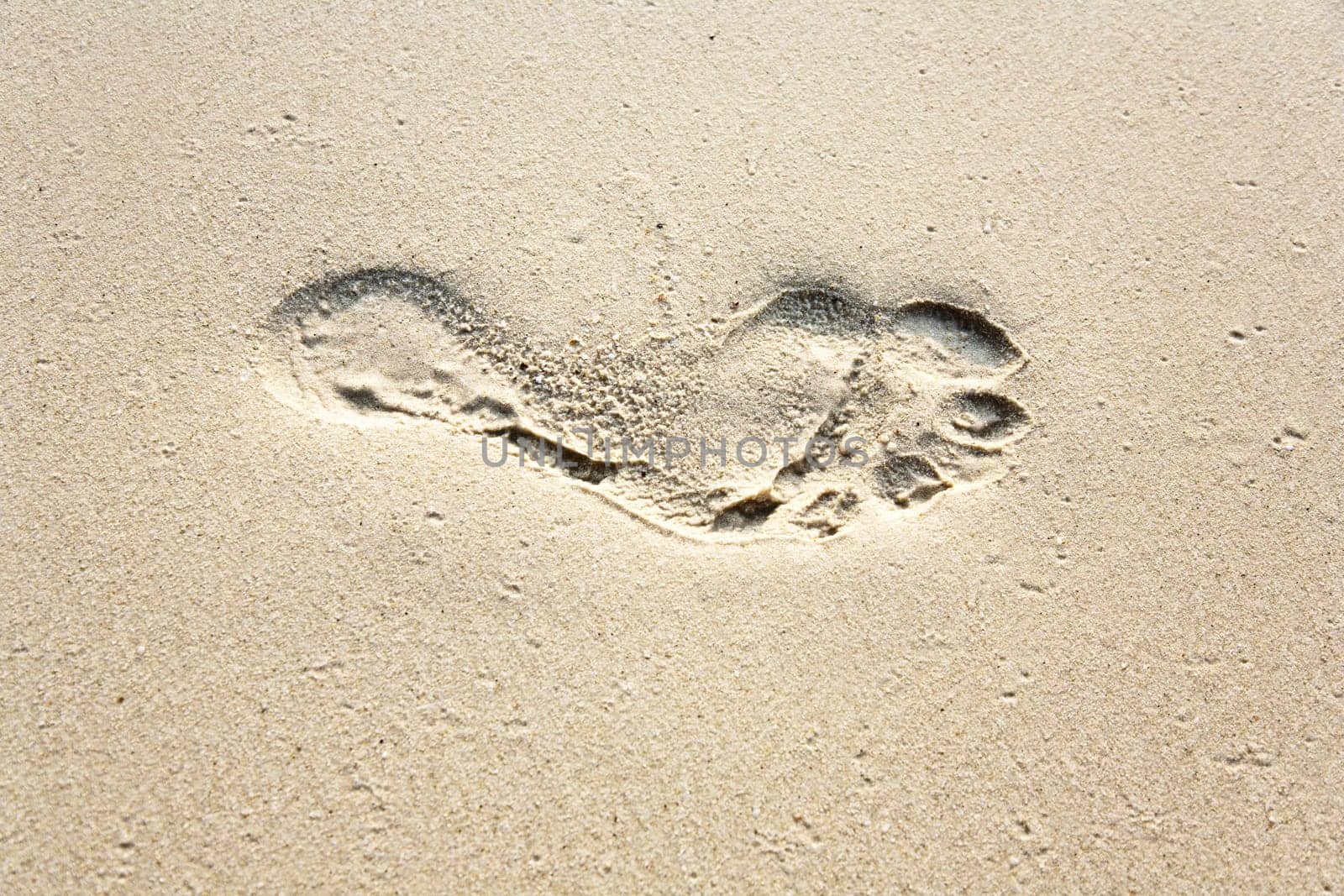 human adult footprint in the fine sand at the beach