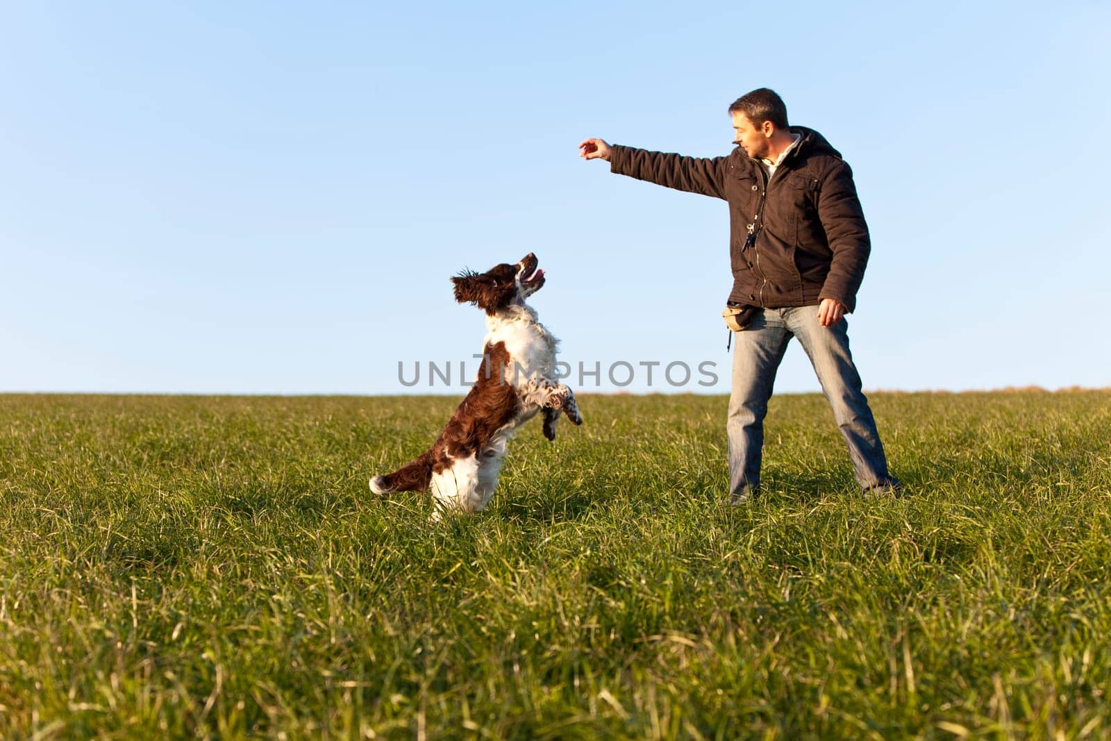 Dog training