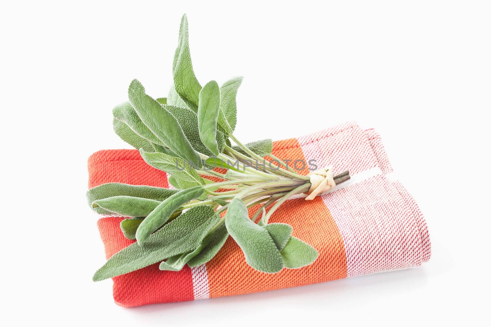Sage
