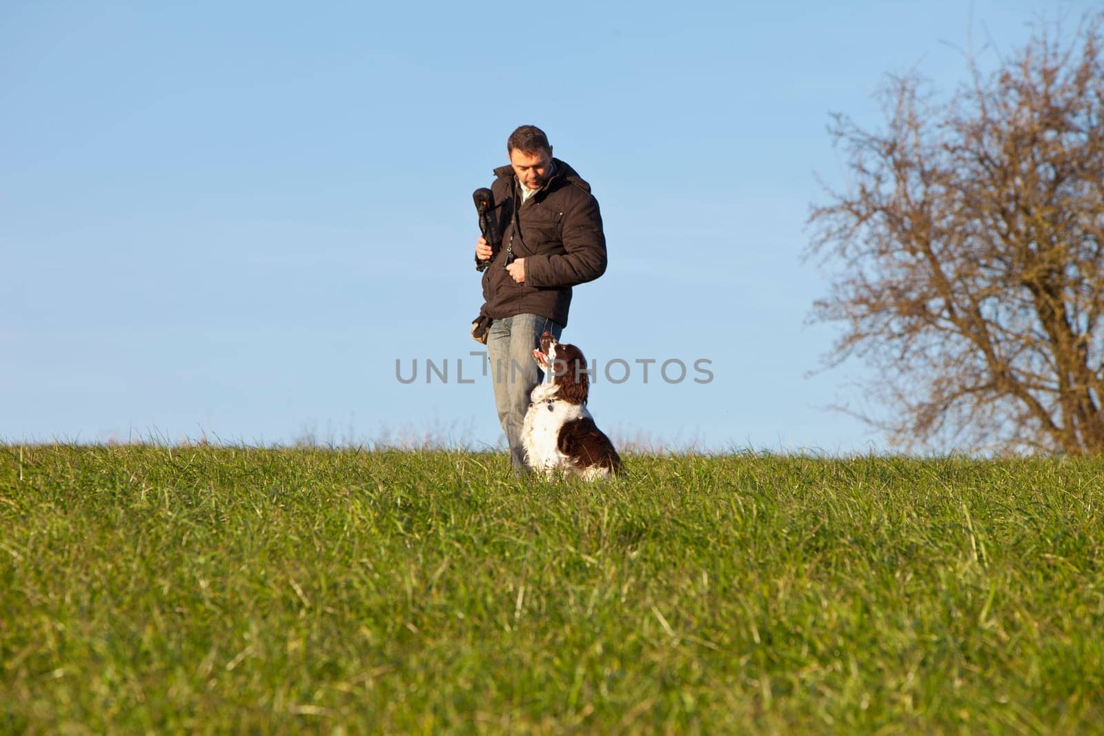 Dog training