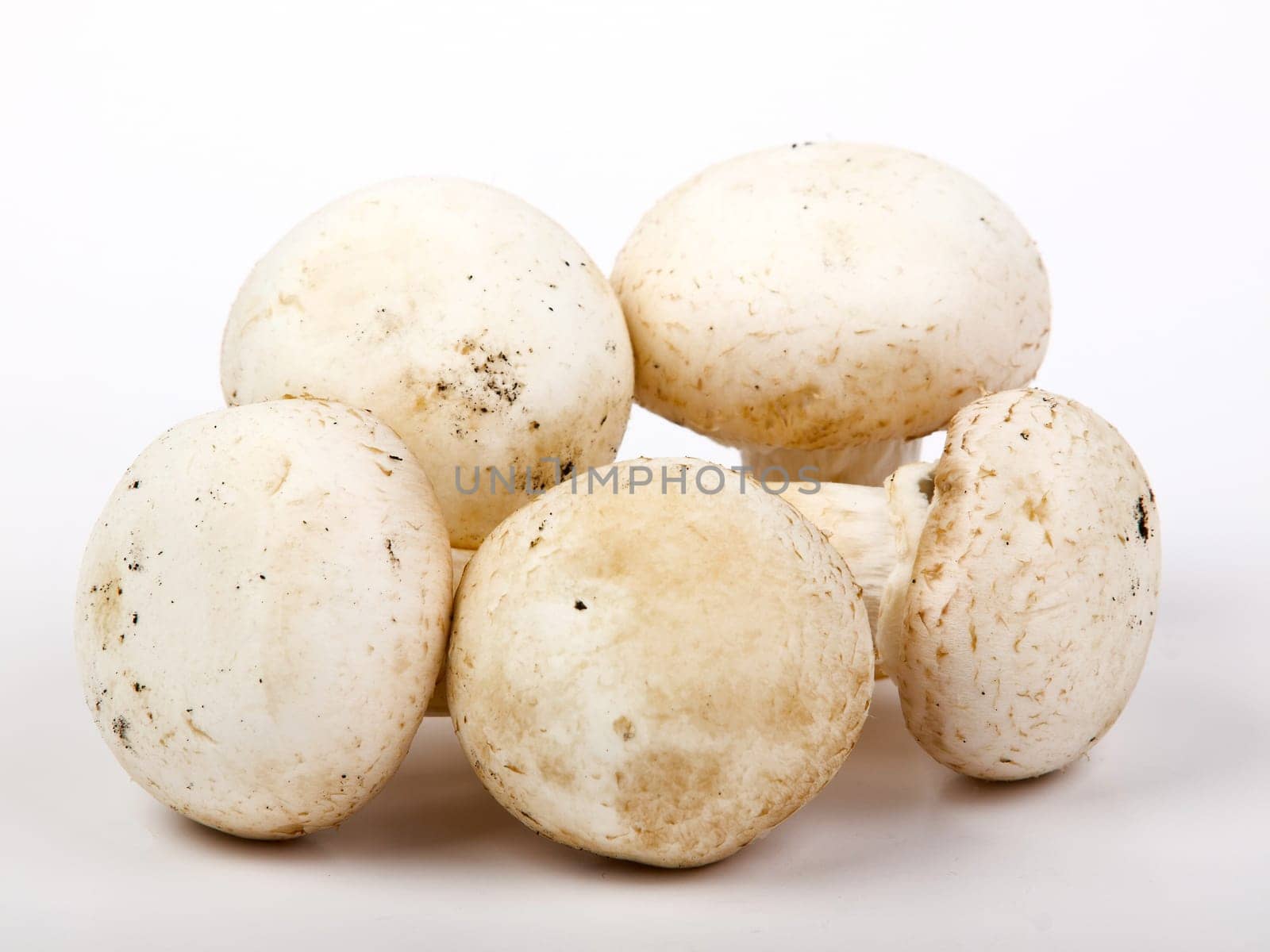 whole champignon isolated on white background