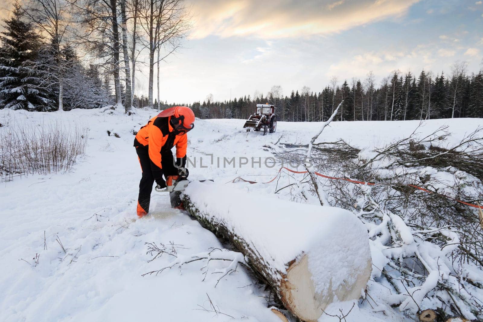 lum,berjack, woodcutter with chainsaw in action, winter scenery from sweden