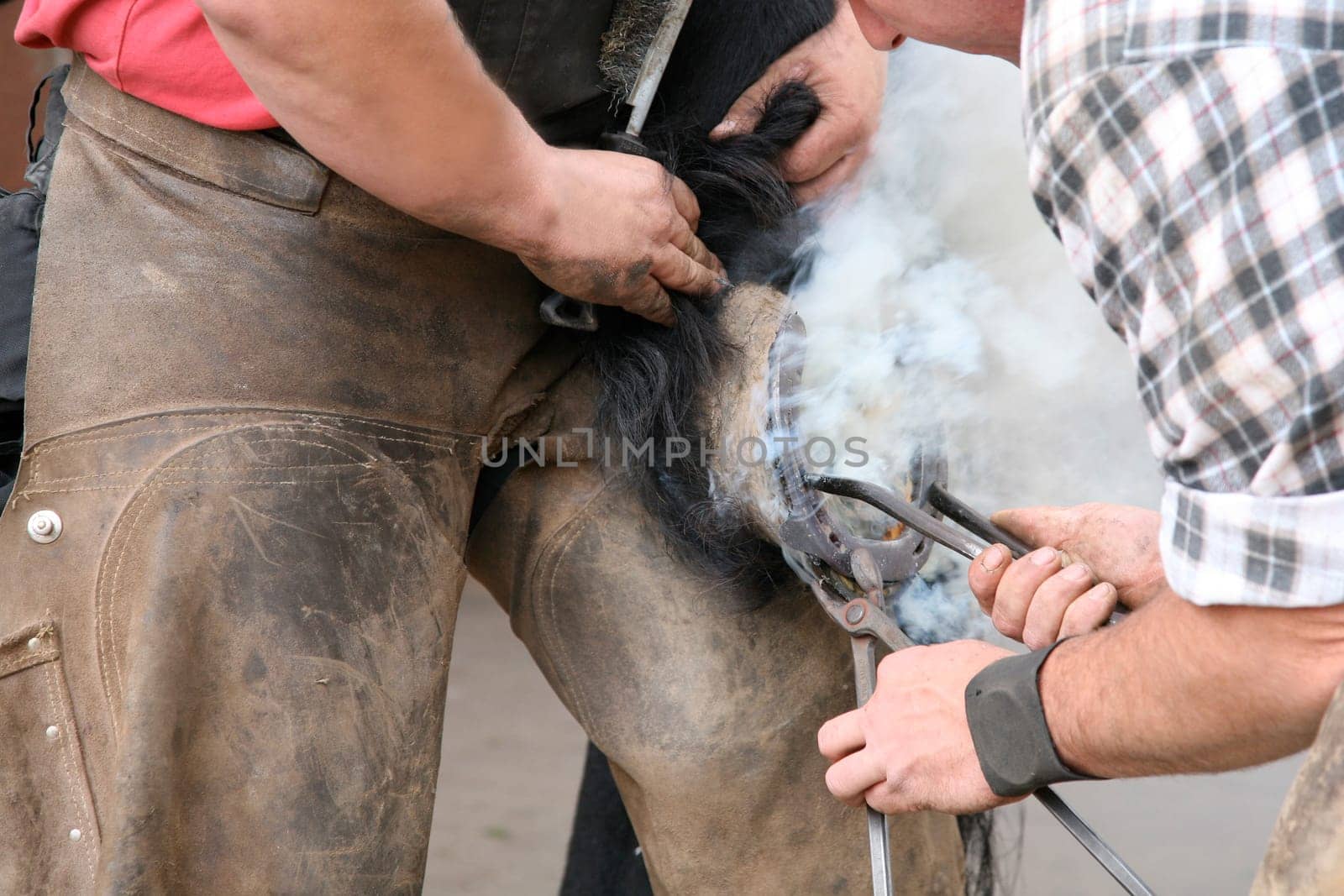 The Farrier